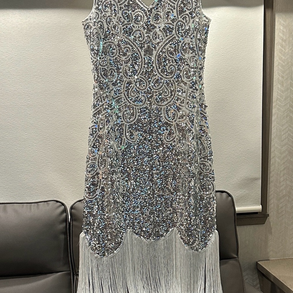 Elegant Silver Sequin Fringe Dress w/soft liner. Only wore once.
